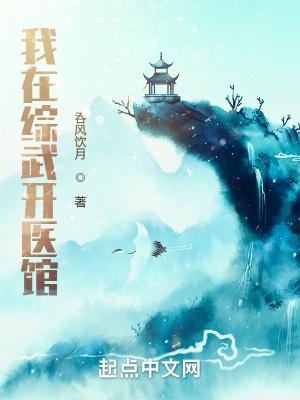 我在综武建皇朝123